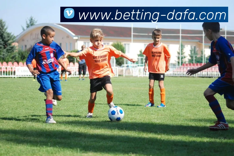 大发官网APP 封面图